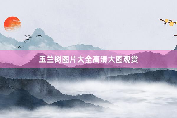 玉兰树图片大全高清大图观赏